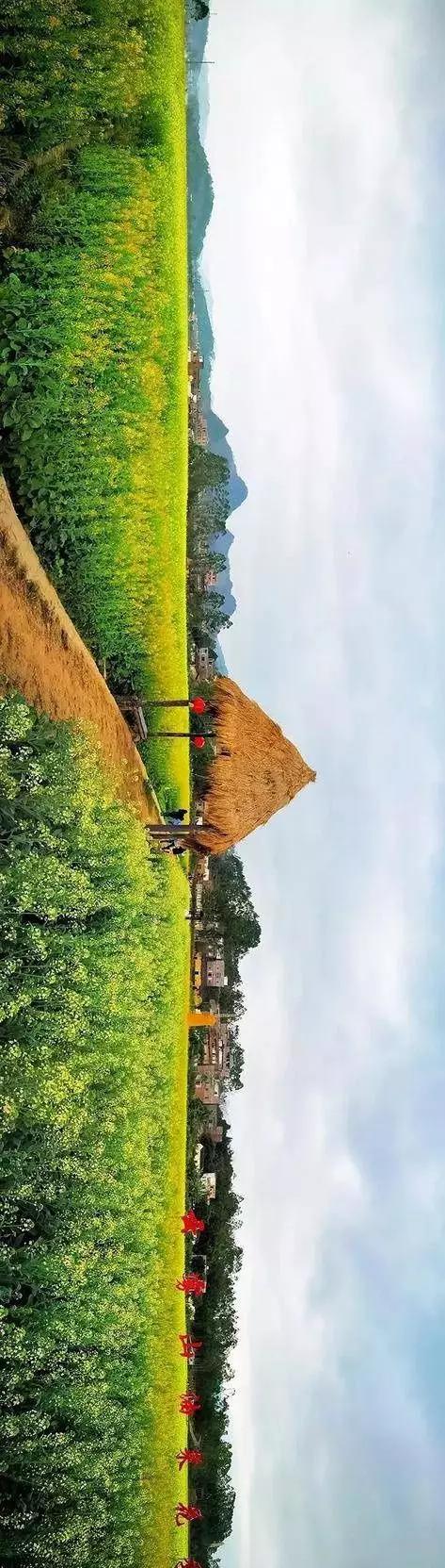 中國(guó)經(jīng)濟(jì)體制改革基金會(huì)全國(guó)第一！中國(guó)改革熱度第三方評(píng)估出爐，云浮宣傳系數(shù)在全國(guó)343個(gè)城市居首位                             